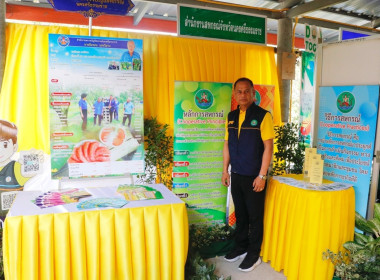 ลงพื้นที่ตรวจเยี่ยมและติดตามการดำเนินงานของศูนย์เรียนรู้การปลูกส้มโอทับทิมสยามบ้านแสงวิมานตำบลคลองน้อย อำเภอปากพนัง จังหวัดนครศรีธรรมราช โดยนายชวกิจจ์ สุวรรณคีรี รองผู้ว่าราชการจังหวัดนครศรีธรรมราช กล่าวต้อนรับพร้อมนายวิศิษฐ์ ศรีสุวรรณ์ อธิบดีกรมส่งเสริม ... พารามิเตอร์รูปภาพ 22